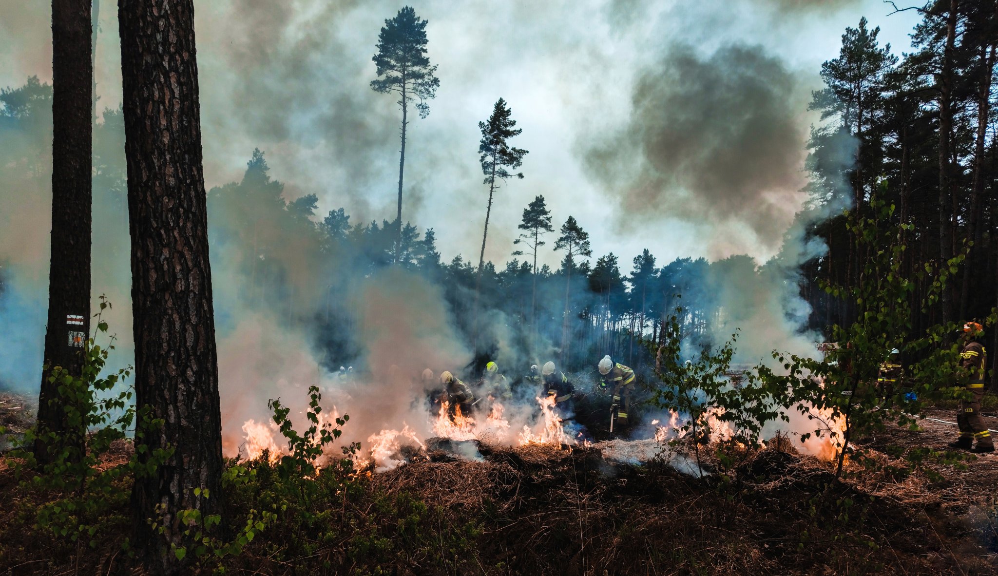 Twarzą w twarz z ogniem