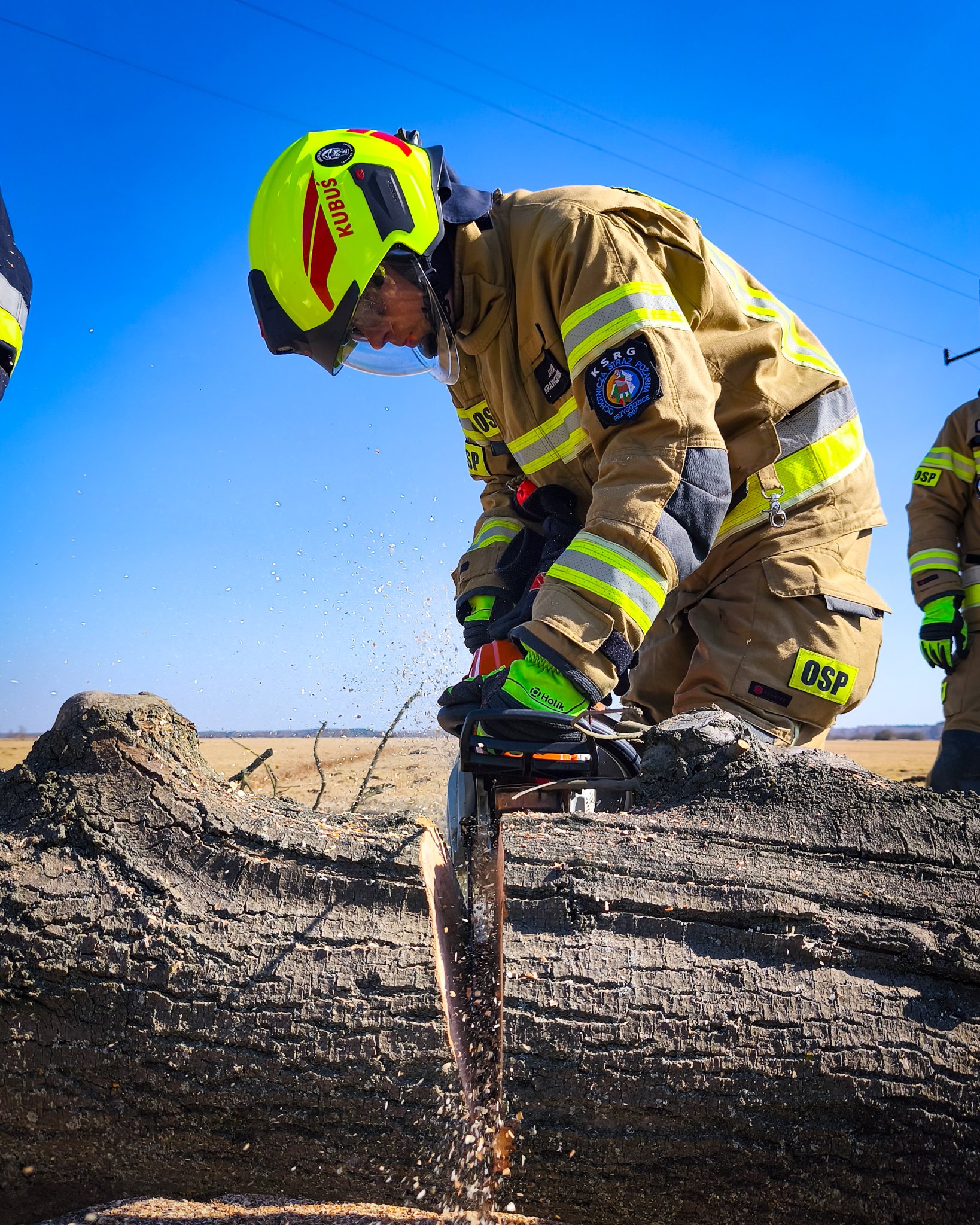 Wióry lecą 🪵🌳