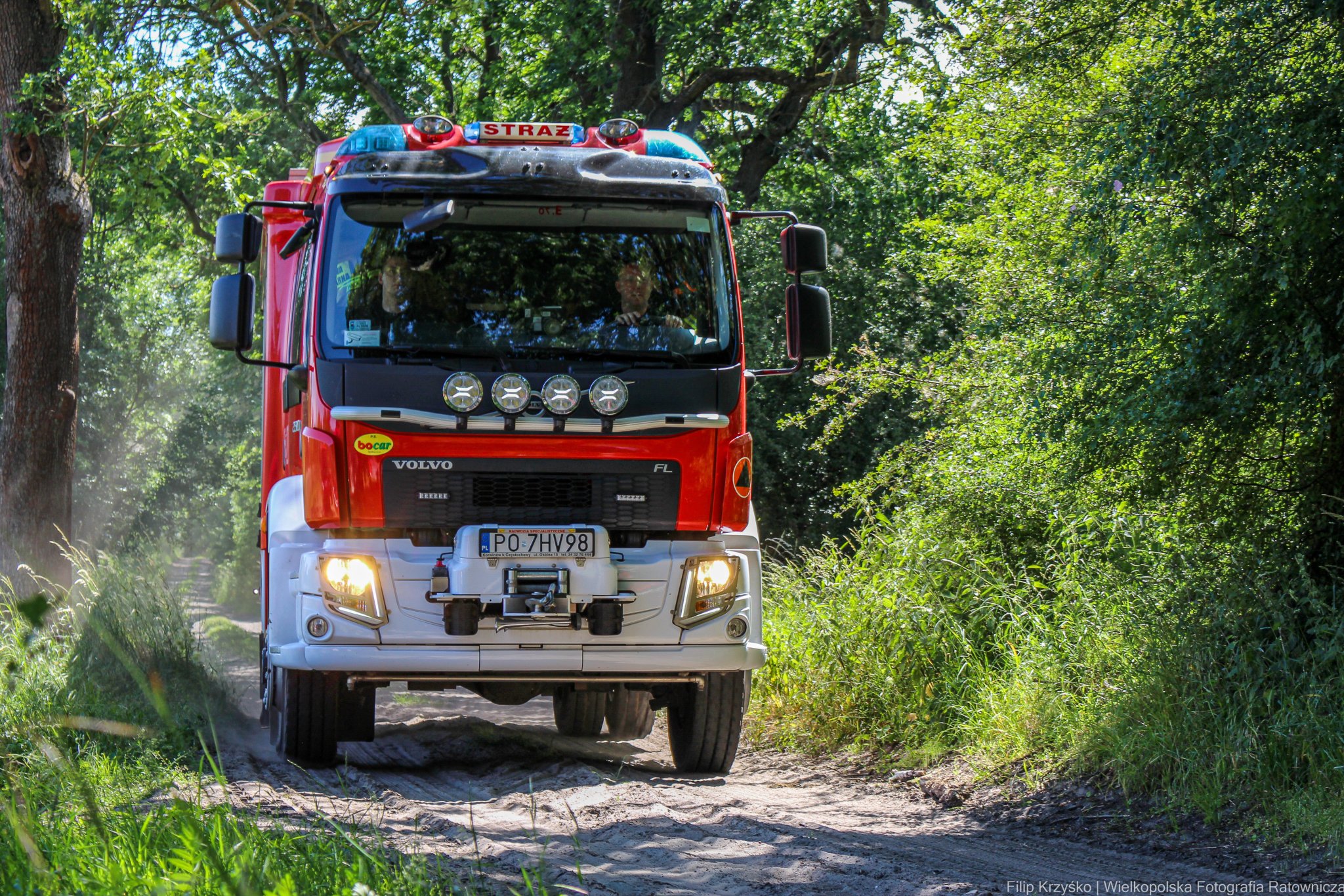 W leśnym terenie...